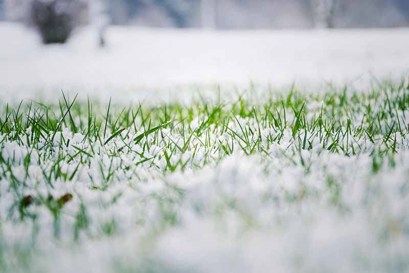 Residential Snow Removal Services in Rosemount, MN